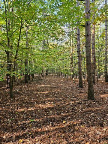 7040 Holly Drive, West Olive, MI 49460