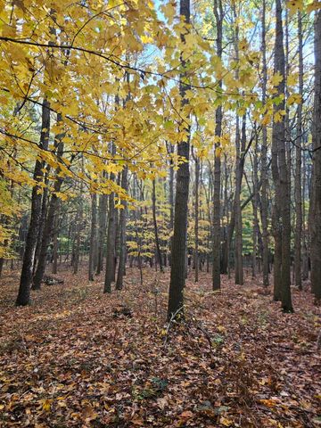 7040 Holly Drive, West Olive, MI 49460