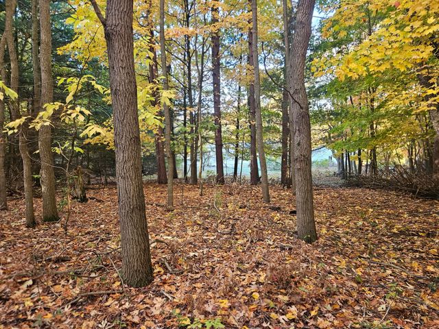7040 Holly Drive, West Olive, MI 49460