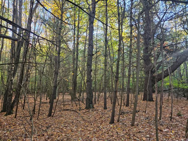 7040 Holly Drive, West Olive, MI 49460