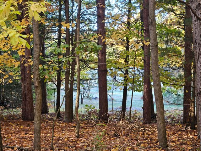 7040 Holly Drive, West Olive, MI 49460