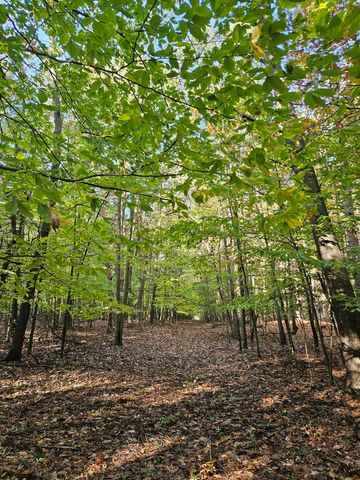 7040 Holly Drive, West Olive, MI 49460