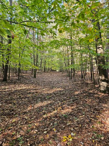 7040 Holly Drive, West Olive, MI 49460