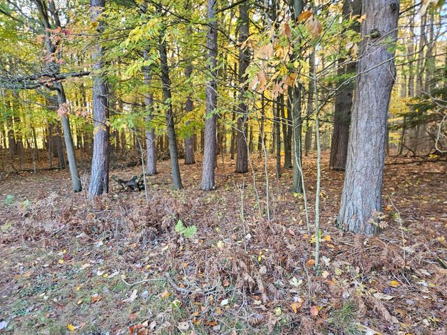 7040 Holly Drive, West Olive, MI 49460