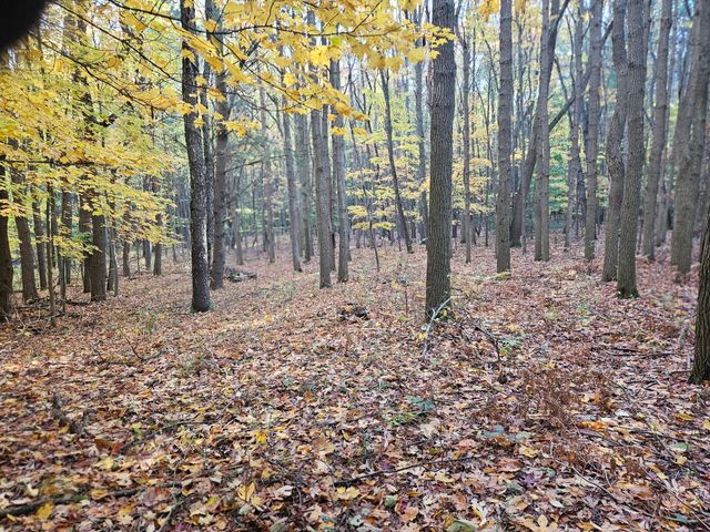 7040 Holly Drive, West Olive, MI 49460