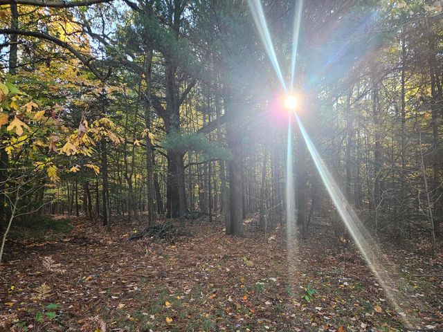 7040 Holly Drive, West Olive, MI 49460