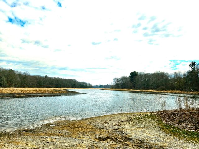 7040 Holly Drive, West Olive, MI 49460