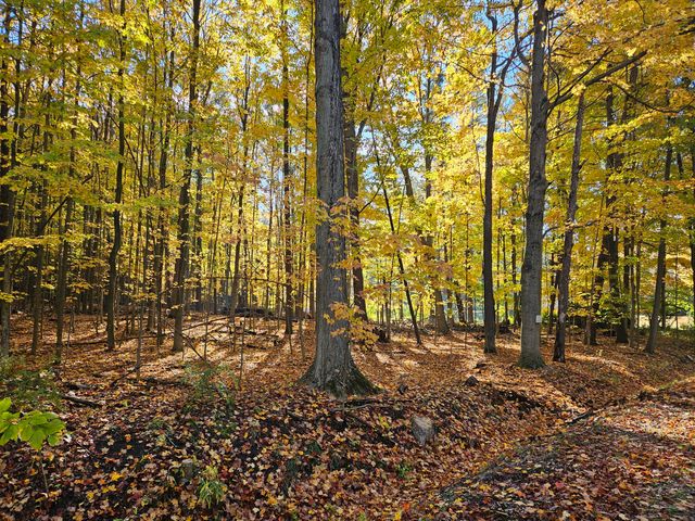 7040 Holly Drive, West Olive, MI 49460