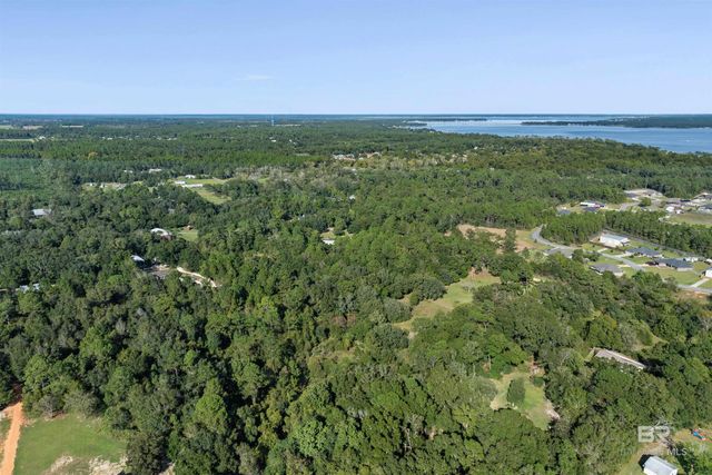 0 Route Road, Lillian, AL 36549