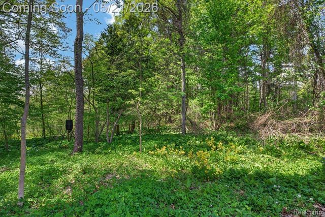 841 Sands Road, Brandon Charter Township, MI 48462