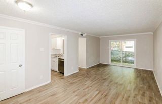 4859 Cedar Springs Road 152, Dallas, TX 75219