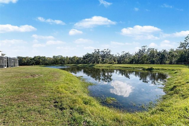 5860 FISHHAWK RIDGE DRIVE, Lithia, FL 33547