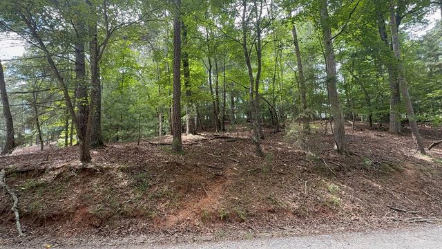 lot 679 Cypress Circle, Ellijay, GA 30540