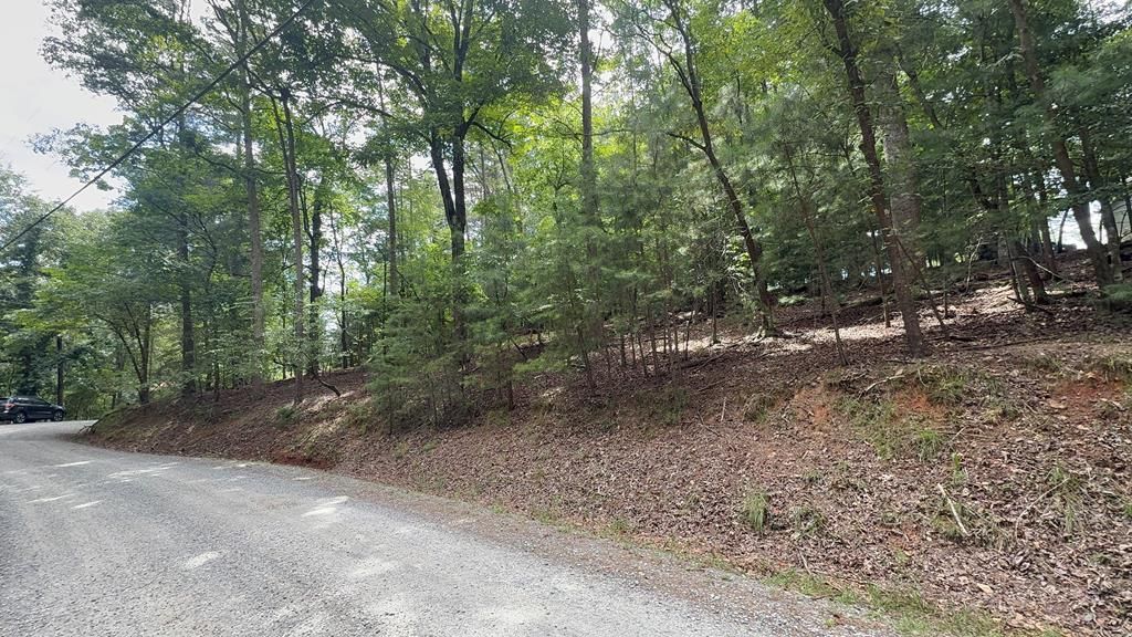 lot 679 Cypress Circle, Ellijay, GA 30540
