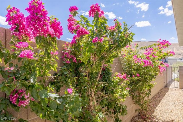 5192 Rock Daisy Drive, Las Vegas, NV 89135