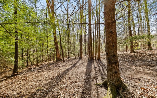 2593 Boston Branch Circle, Signal Mountain, TN 37377