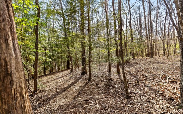2593 Boston Branch Circle, Signal Mountain, TN 37377