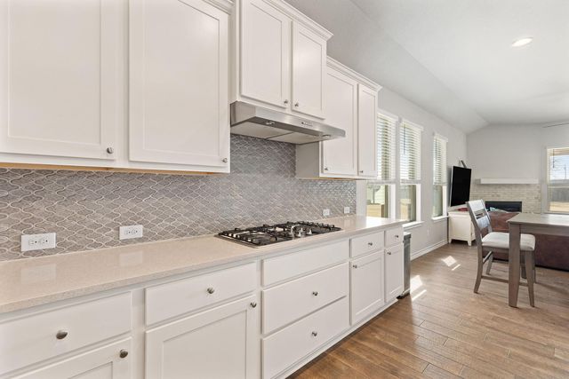 7204 Loggia PL, Round Rock, TX 78665