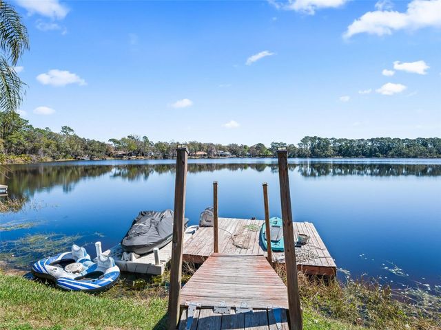 3924 WOODPECKER DRIVE, Fruitland Park, FL 34731