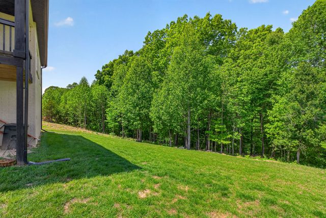 155 Lakewood Cir, Smithville, TN 37166