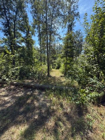 0 0 Paul Harrell Rd, Beechgrove, TN 37018