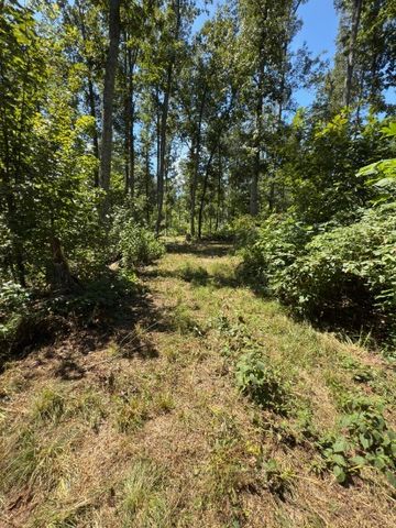 0 0 Paul Harrell Rd, Beechgrove, TN 37018