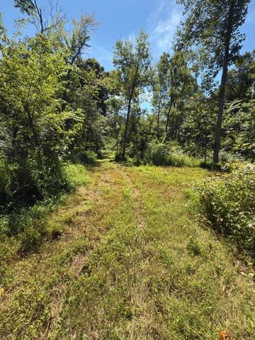 0 0 Paul Harrell Rd, Beechgrove, TN 37018