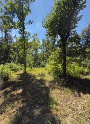 0 0 Paul Harrell Rd, Beechgrove, TN 37018