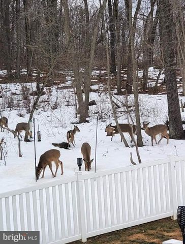 402 MOUNTAINSIDE RD, Temple, PA 19560