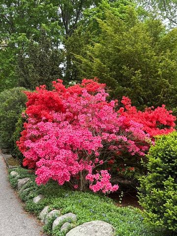 27 Stella Road, Belmont, MA 02478