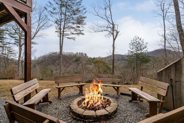 197 Cashes Valley Overlook, Cherry Log, GA 30522
