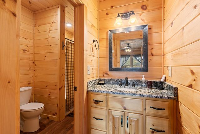 197 Cashes Valley Overlook, Cherry Log, GA 30522