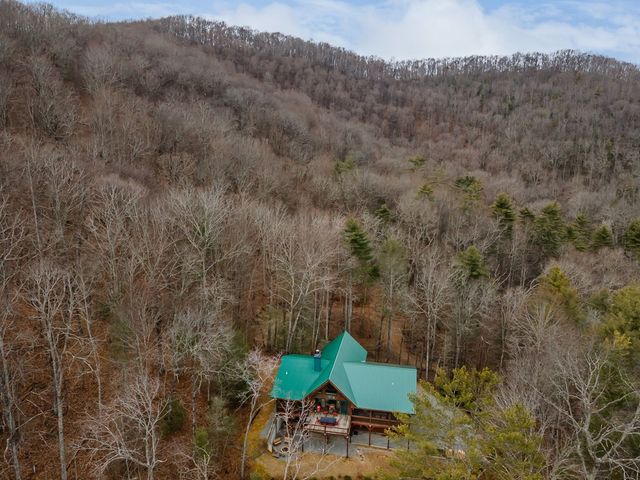 197 Cashes Valley Overlook, Cherry Log, GA 30522