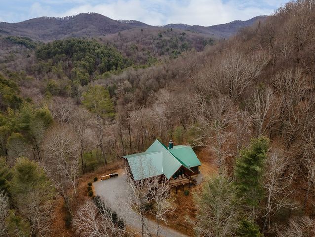 197 Cashes Valley Overlook, Cherry Log, GA 30522