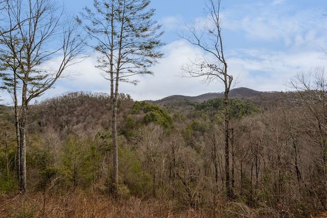 197 Cashes Valley Overlook, Cherry Log, GA 30522