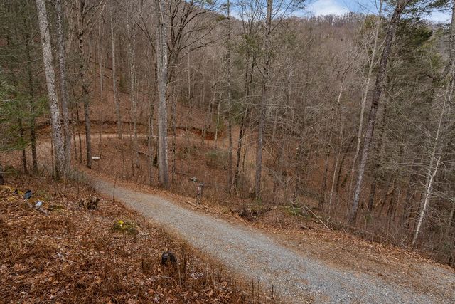 197 Cashes Valley Overlook, Cherry Log, GA 30522