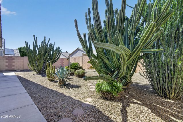14056 W FIELDINGS Ferry, Surprise, AZ 85374