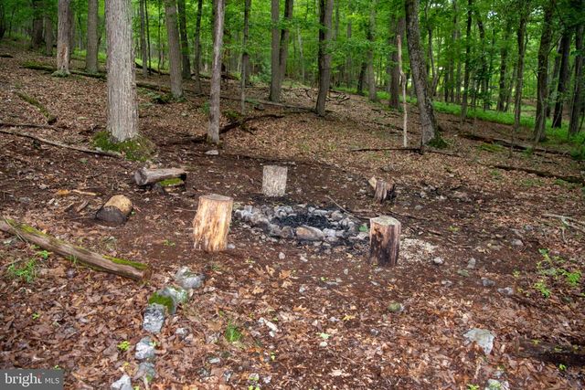 452 WILD TURKEY RDG, Lost City, WV 26810