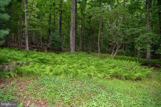 452 WILD TURKEY RDG, Lost City, WV 26810