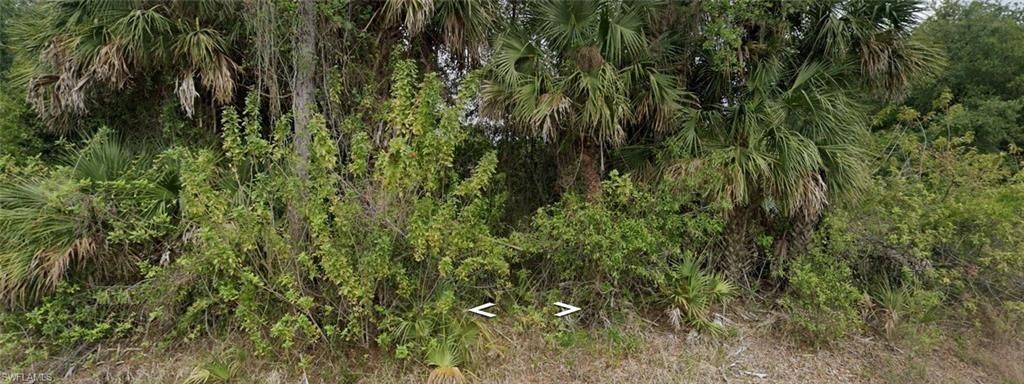 412 Broadway AVE, LEHIGH ACRES, FL 33972 — photo 3