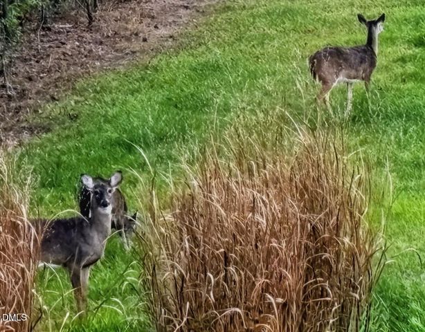 1436 Rose Gum Way, Fuquay Varina, NC 27526