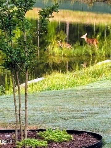 1436 Rose Gum Way, Fuquay Varina, NC 27526