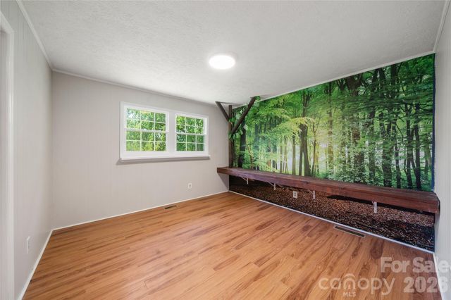 7 Lula Cove Road, Weaverville, NC 28787