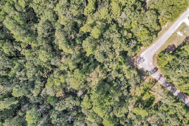 50 Firewood Road, Huntsville, TX 77340