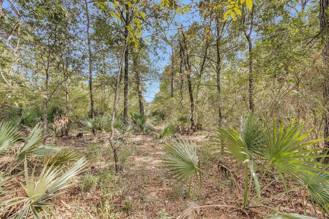 50 Firewood Road, Huntsville, TX 77340