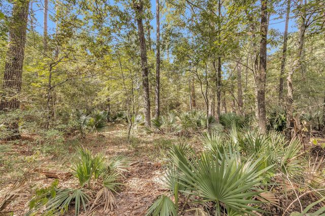 50 Firewood Road, Huntsville, TX 77340