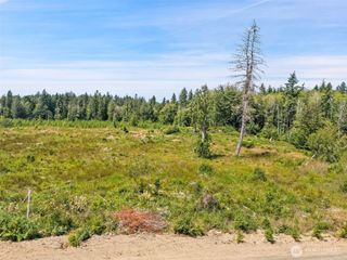 0 TR3 SE Wellswood Way, Shelton, WA 98584