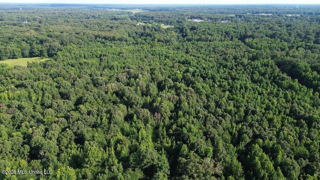 3605 Byhalia Road, Hernando, MS 38632 — photo 2