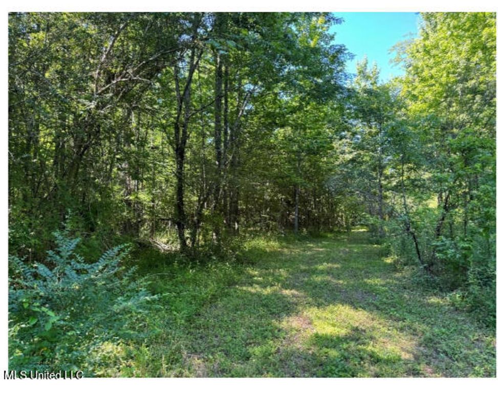3605 Byhalia Road, Hernando, MS 38632 — photo 3