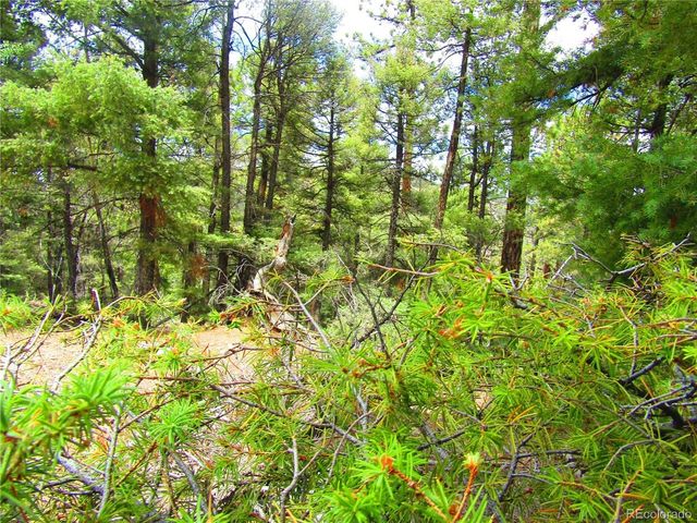 6029 Spruce Rd, San Luis, CO 81152